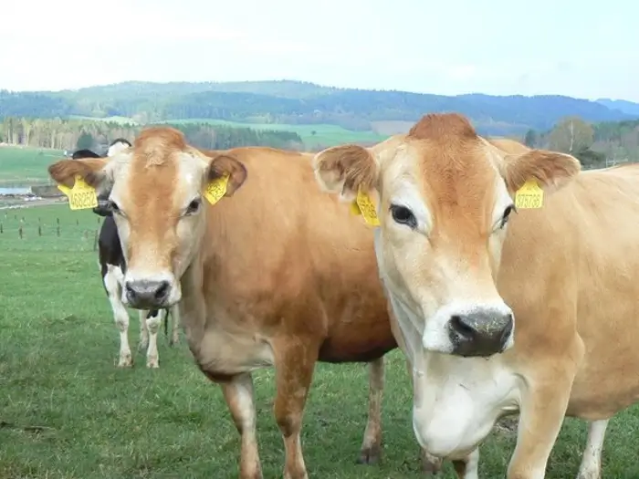 Rodinná farma Tichá